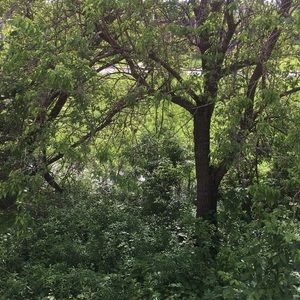 Meet your Posher, Timothy